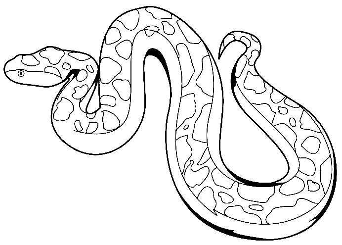 Long anaconda coloring book